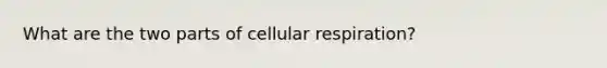 What are the two parts of cellular respiration?