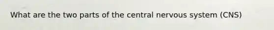 What are the two parts of the central nervous system (CNS)