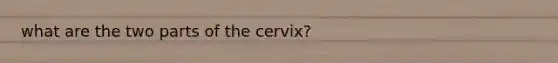 what are the two parts of the cervix?