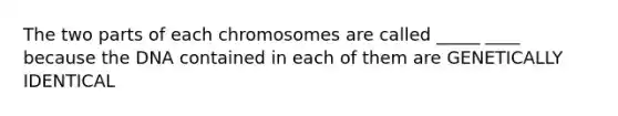 The two parts of each chromosomes are called _____ ____ because the DNA contained in each of them are GENETICALLY IDENTICAL