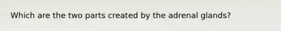 Which are the two parts created by the adrenal glands?