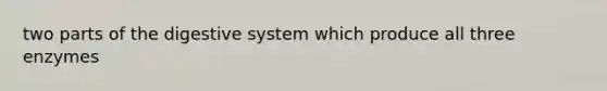 two parts of the digestive system which produce all three enzymes