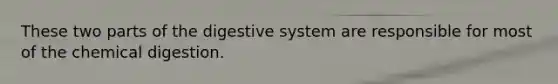 These two parts of the digestive system are responsible for most of the chemical digestion.