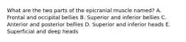 What are the two parts of the epicranial muscle named? A. Frontal and occipital bellies B. Superior and inferior bellies C. Anterior and posterior bellies D. Superior and inferior heads E. Superficial and deep heads