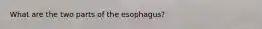 What are the two parts of the esophagus?