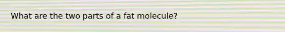 What are the two parts of a fat molecule?