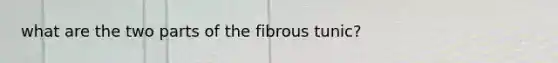 what are the two parts of the fibrous tunic?