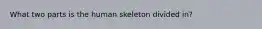 What two parts is the human skeleton divided in?