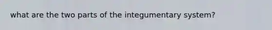 what are the two parts of the integumentary system?