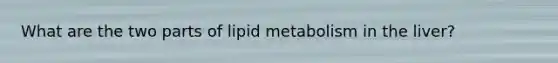 What are the two parts of lipid metabolism in the liver?