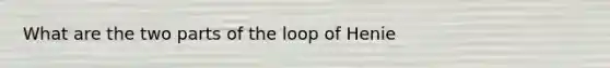 What are the two parts of the loop of Henie