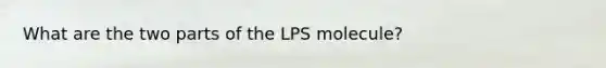 What are the two parts of the LPS molecule?