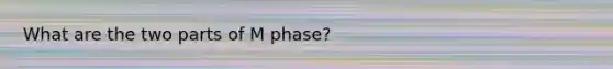 What are the two parts of M phase?