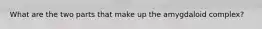 What are the two parts that make up the amygdaloid complex?