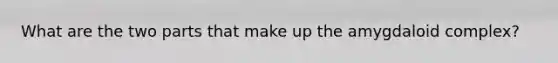 What are the two parts that make up the amygdaloid complex?