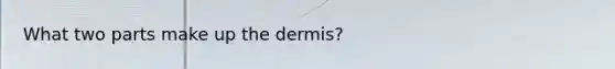 What two parts make up <a href='https://www.questionai.com/knowledge/kEsXbG6AwS-the-dermis' class='anchor-knowledge'>the dermis</a>?