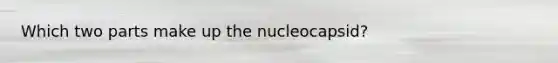 Which two parts make up the nucleocapsid?