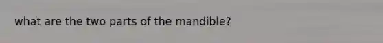 what are the two parts of the mandible?