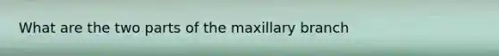 What are the two parts of the maxillary branch