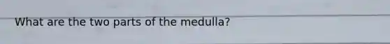 What are the two parts of the medulla?