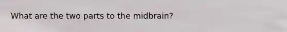 What are the two parts to the midbrain?