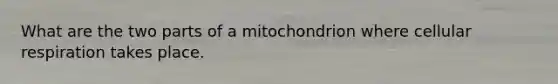 What are the two parts of a mitochondrion where cellular respiration takes place.