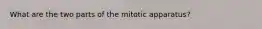 What are the two parts of the mitotic apparatus?