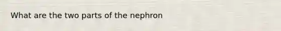 What are the two parts of the nephron