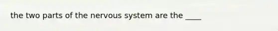 the two parts of the nervous system are the ____