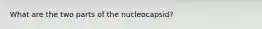 What are the two parts of the nucleocapsid?