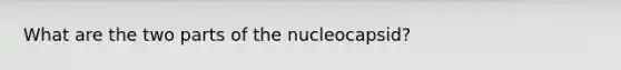 What are the two parts of the nucleocapsid?