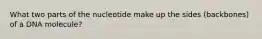 What two parts of the nucleotide make up the sides (backbones) of a DNA molecule?