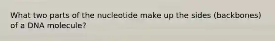 What two parts of the nucleotide make up the sides (backbones) of a DNA molecule?