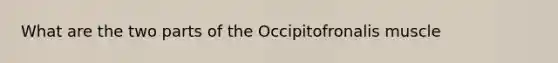 What are the two parts of the Occipitofronalis muscle