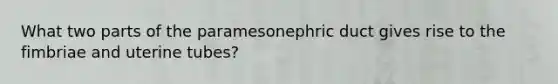 What two parts of the paramesonephric duct gives rise to the fimbriae and uterine tubes?