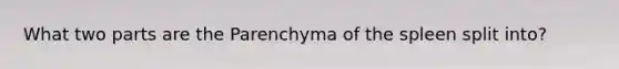 What two parts are the Parenchyma of the spleen split into?