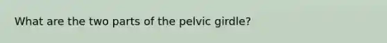 What are the two parts of the pelvic girdle?