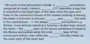 - Two parts of the pericardium include: 1. __________ pericardium: composed of tough, inelastic, _________ CT; resembles a bag that is attached to the diaphragm at the apex while the open-end fuses to the connective tissues of the vessels entering & leaving the heart. It functions to prevent _________ and ________ the heart in the mediastinum. - 2. the deeper _________ pericardium is a thinner, more delicate membrane forming a double layer around the heart. * the _______ layer of the serous membrane is fused to the fibrous pericardium while the inner _______ layer of the serous pericardium, also called the ________, actually makes up the outer layer of the heart wall.