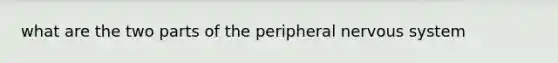 what are the two parts of the peripheral <a href='https://www.questionai.com/knowledge/kThdVqrsqy-nervous-system' class='anchor-knowledge'>nervous system</a>