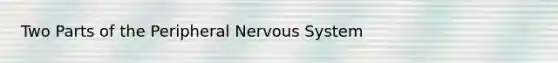 Two Parts of the Peripheral <a href='https://www.questionai.com/knowledge/kThdVqrsqy-nervous-system' class='anchor-knowledge'>nervous system</a>