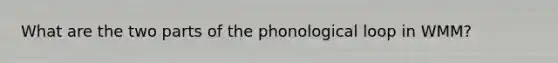 What are the two parts of the phonological loop in WMM?