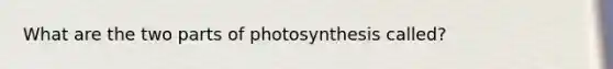 What are the two parts of photosynthesis called?