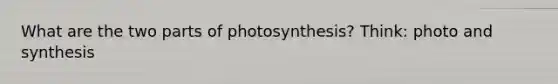 What are the two parts of photosynthesis? Think: photo and synthesis