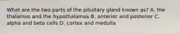 What are the two parts of the pituitary gland known as? A. the thalamus and the hypothalamus B. anterior and posterior C. alpha and beta cells D. cortex and medulla