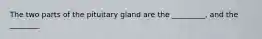 The two parts of the pituitary gland are the _________, and the ________