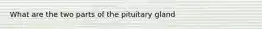 What are the two parts of the pituitary gland