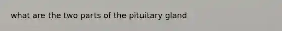 what are the two parts of the pituitary gland