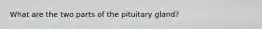 What are the two parts of the pituitary gland?