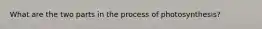 What are the two parts in the process of photosynthesis?