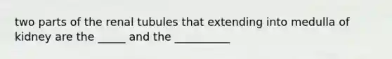 two parts of the renal tubules that extending into medulla of kidney are the _____ and the __________